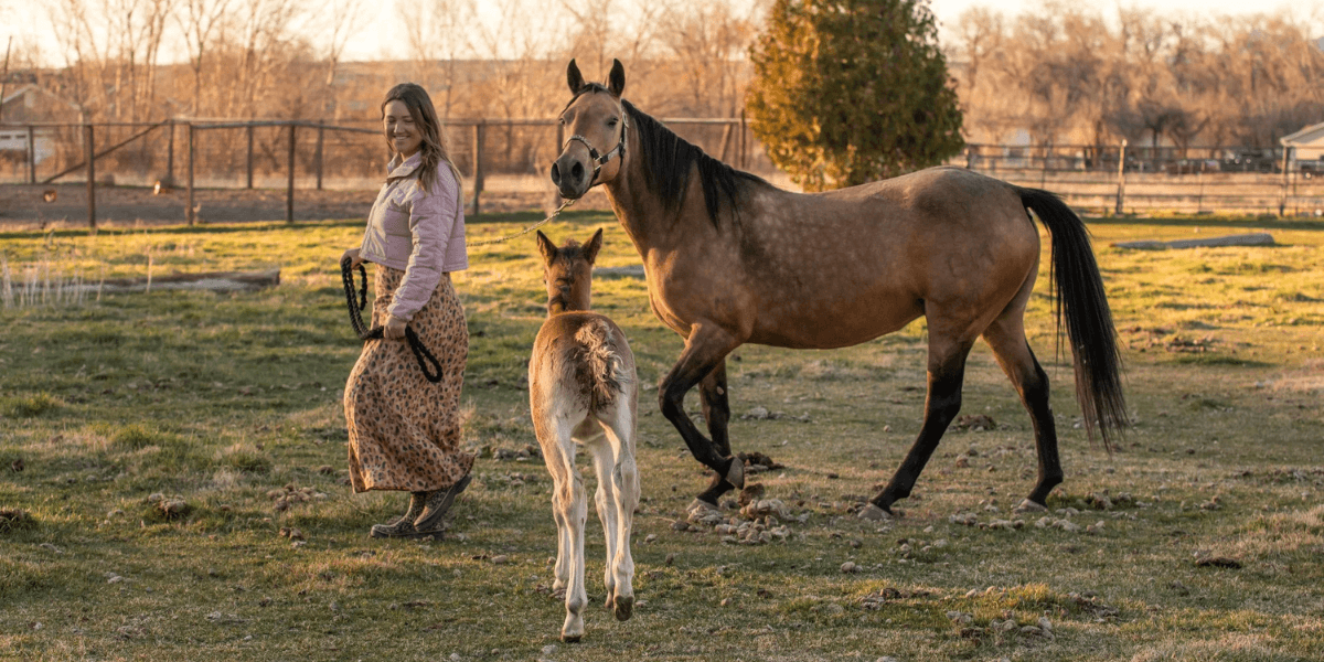 Karma Ranch: A Solo Founder’s Vision for Animal Rescue and Environmental Regeneration