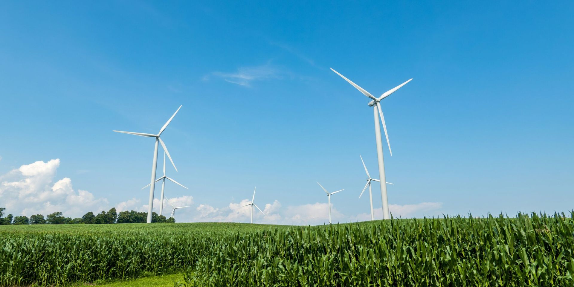Technological Innovations for a Sustainable Future: U.S. Advances in Green Energy