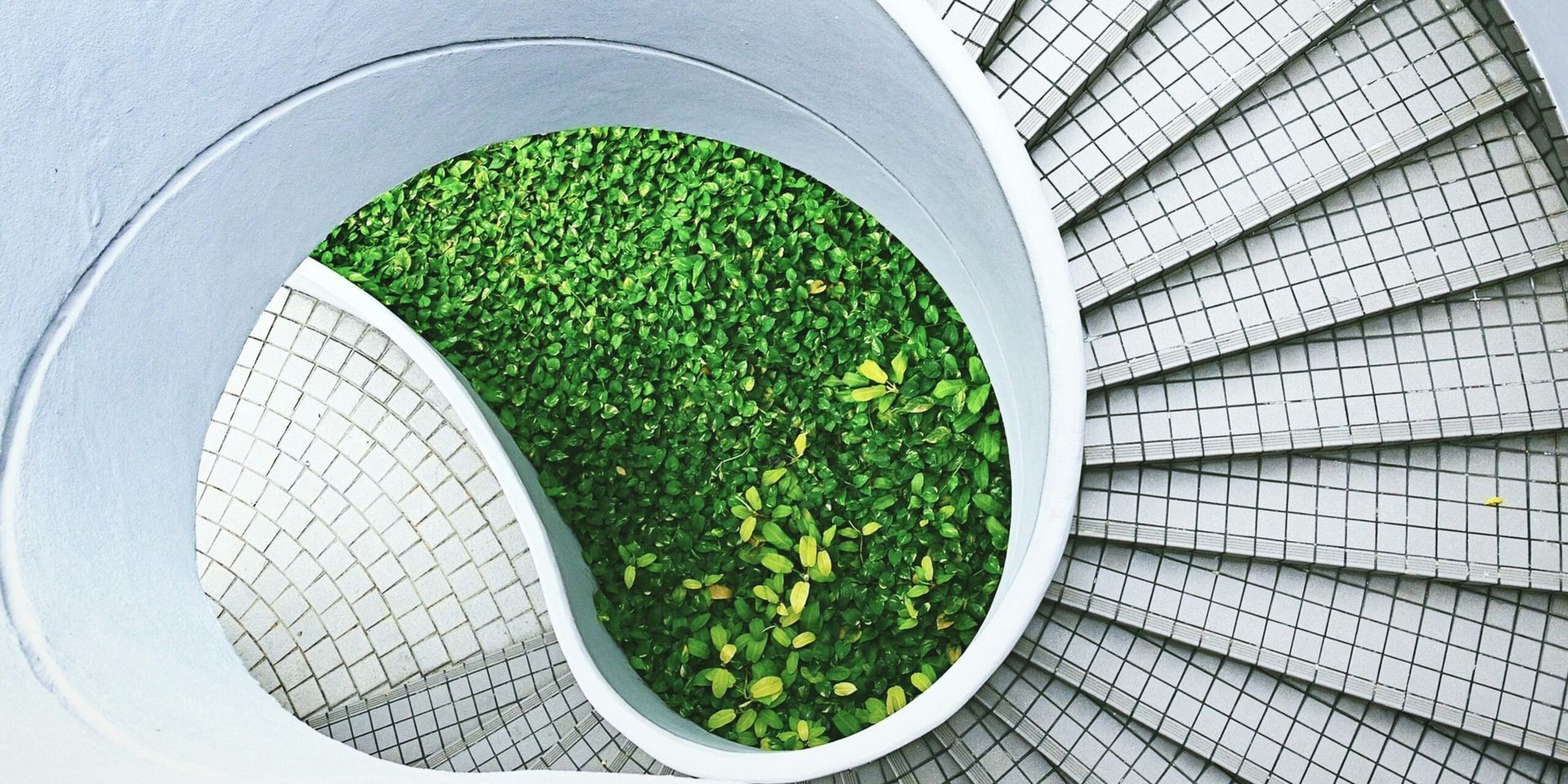 Sustainability at the Core: Startups Lead the Charge in Green Innovation