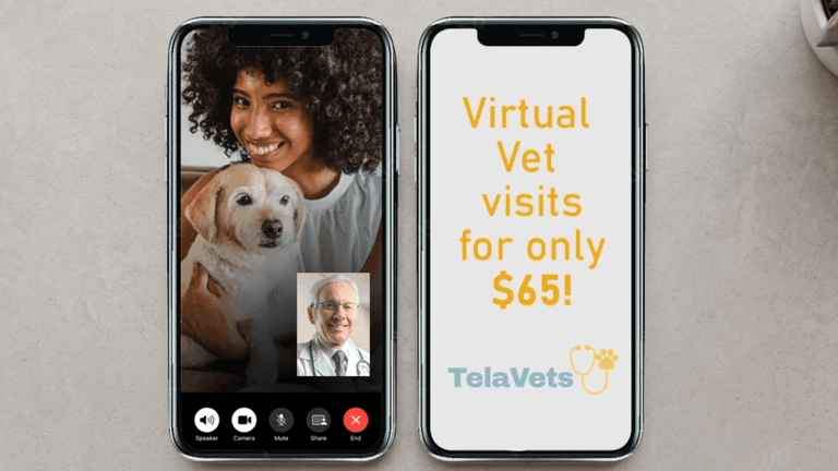 Two smartphones showing a video call with a vet and a pet owner with a dog