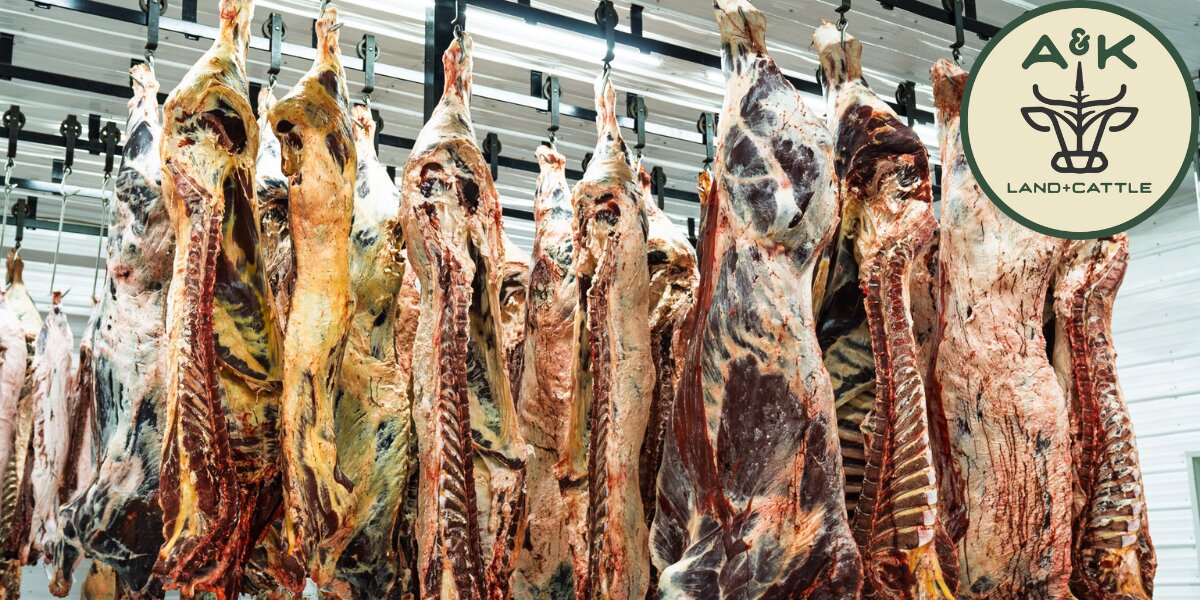 carcasses of beef hanging in a processing facility, reflecting the dry-aging process at A&K Land & Cattle.