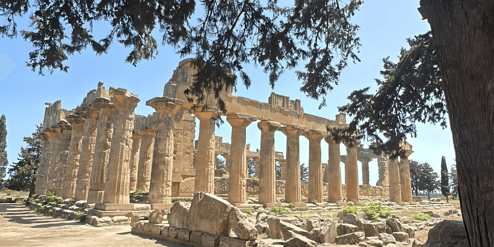Ancient Roman ruins at Leptis Magna, Libya, featuring towering columns and well-preserved structures under clear blue skies.