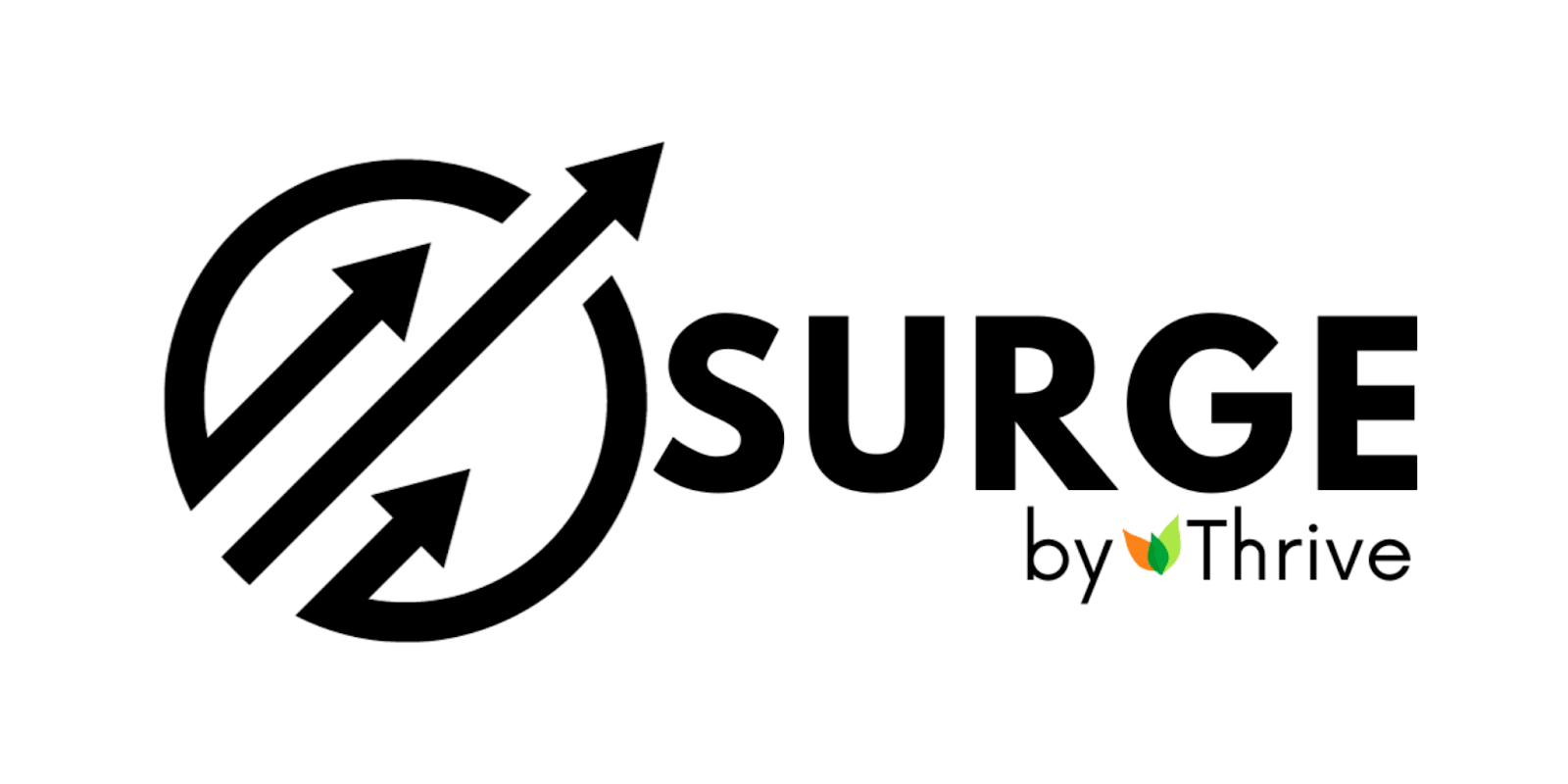 The Surge by Thrive logo, representing an all-in-one business growth platform designed for small and mid-sized businesses. Surge simplifies business operations by integrating tools for lead generation, CRM, marketing automation, and customer management into a single, user-friendly platform