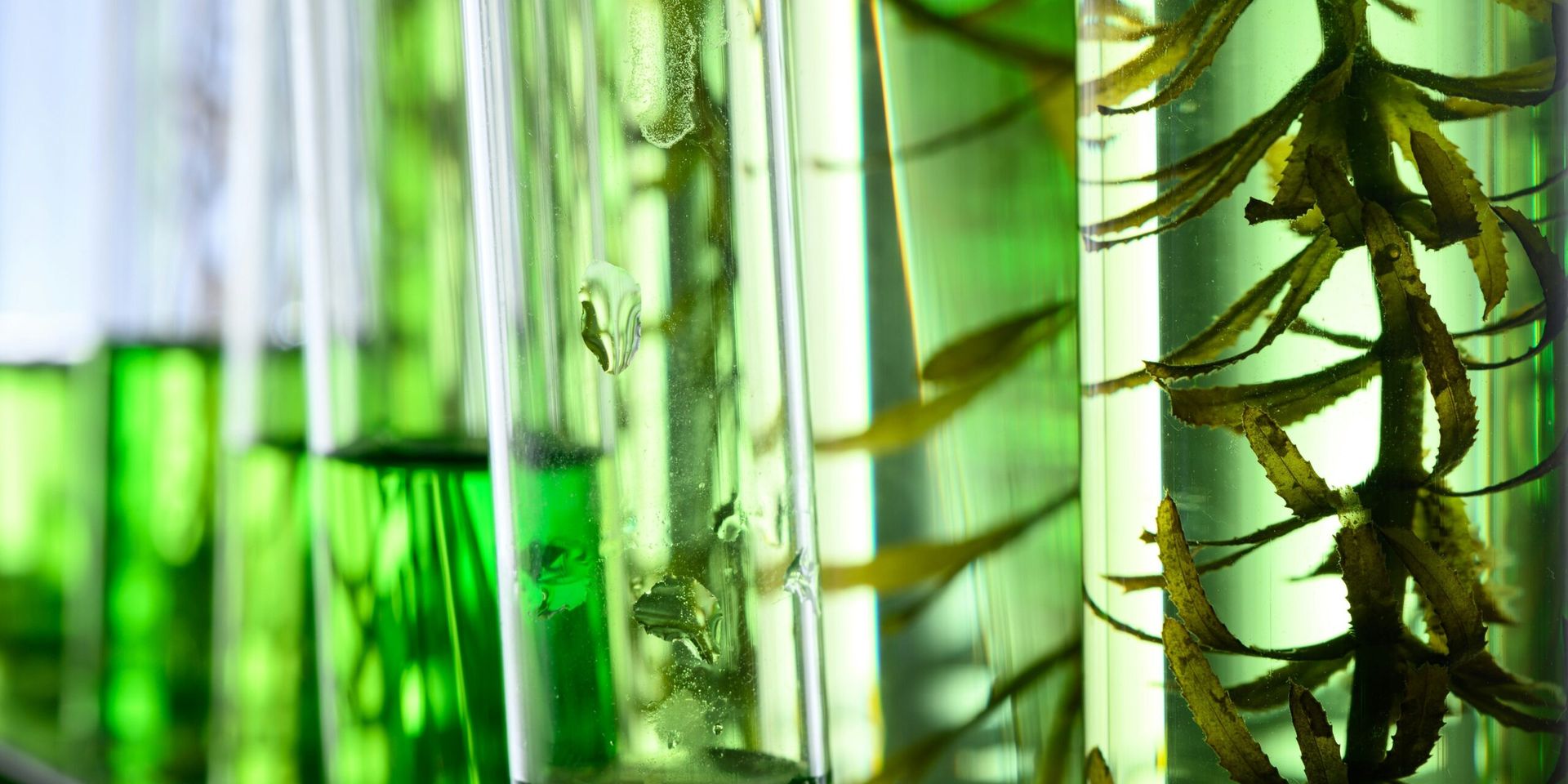 Growth Energy’s 2025 Executive Leadership Conference: Shaping the Future of Biofuels