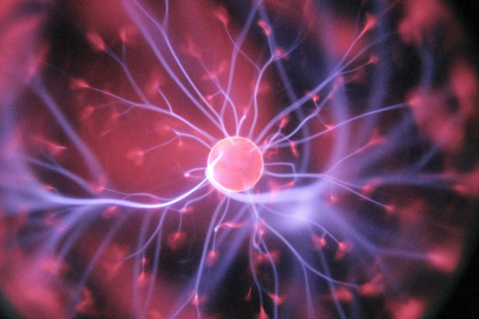 Hal Gatewood Ogvqxgl7xo4 Unsplash