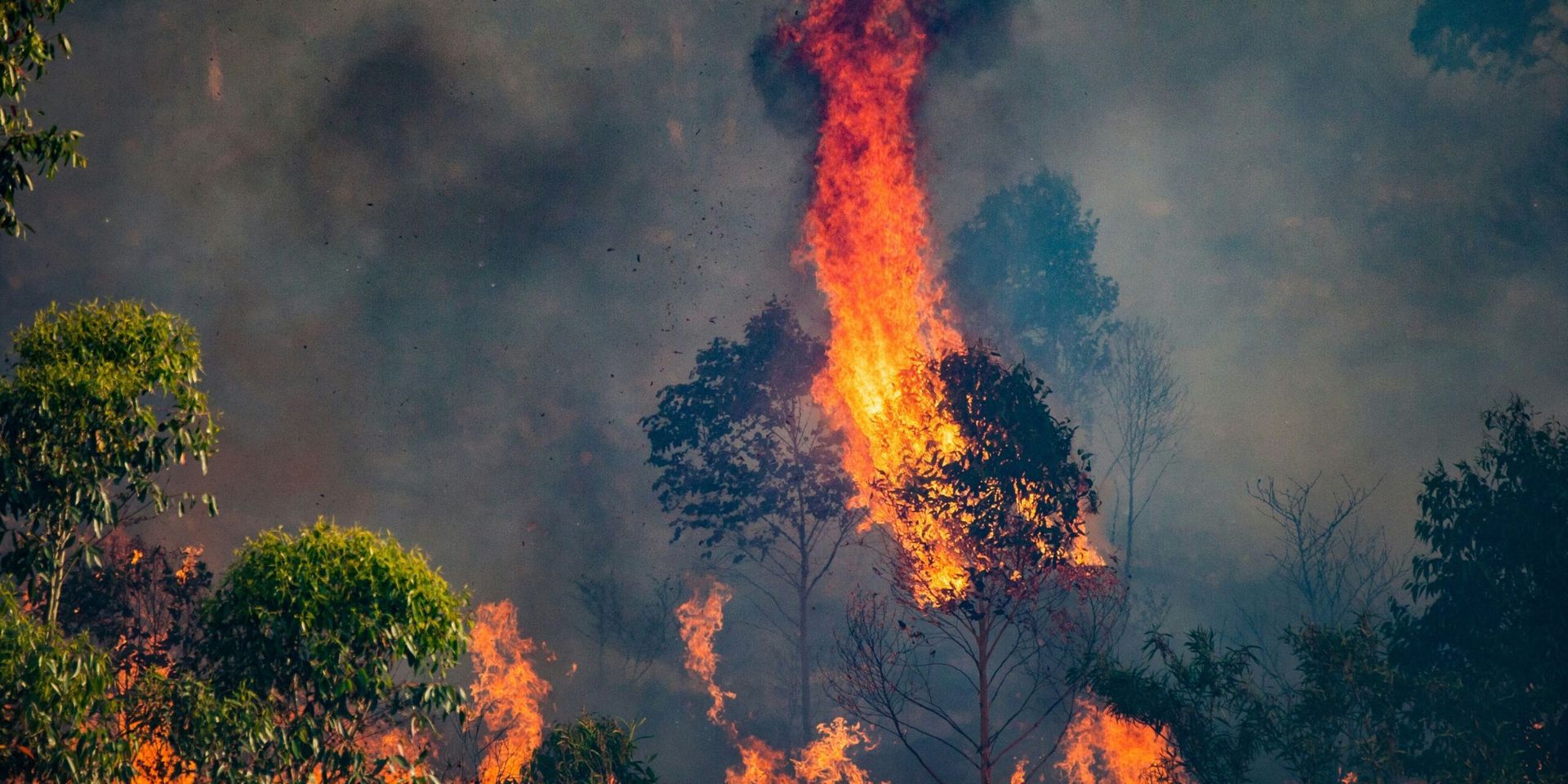 U.S. Senators Introduce Landmark Climate Action Bill with Focus on Environmental Justice