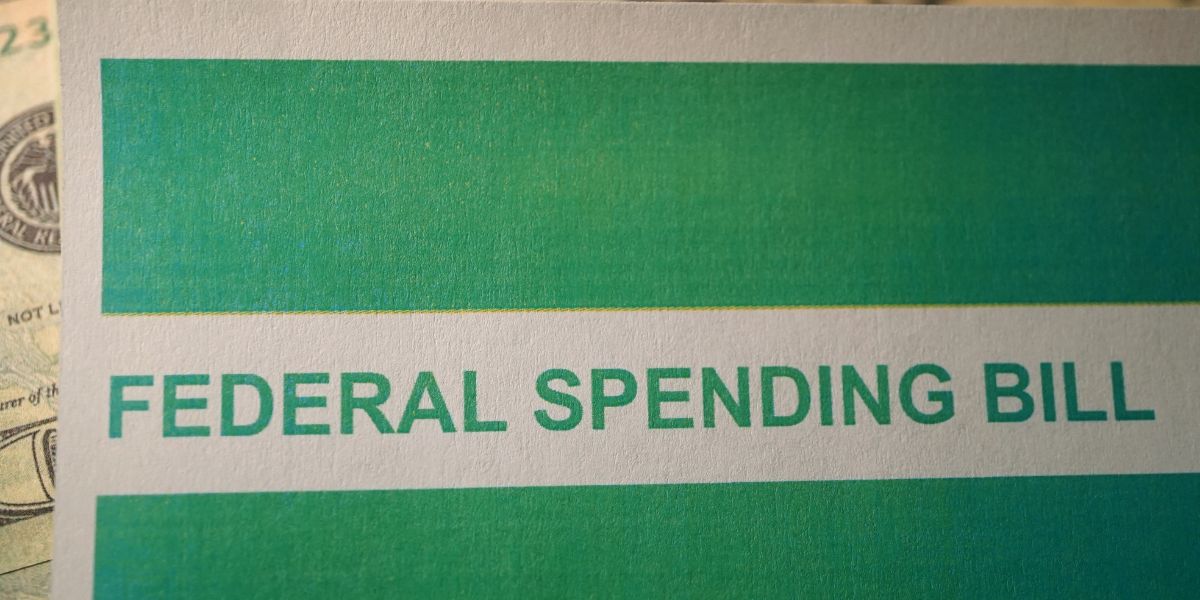 Elon Musk’s Impact on Federal Budget Allocations: A Closer Look