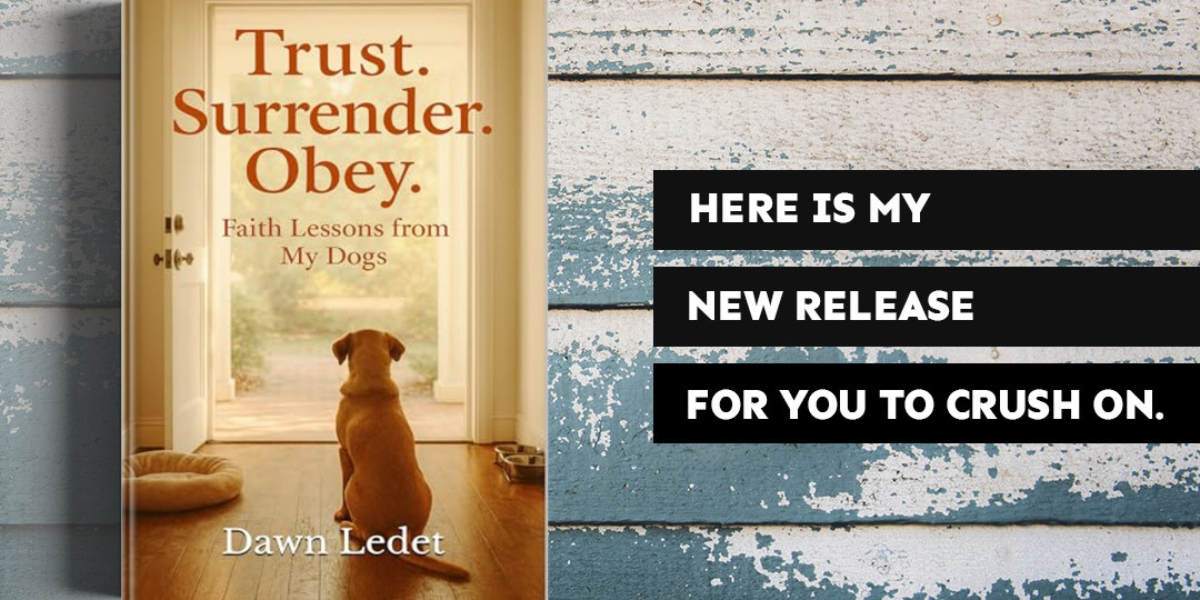 The Self Trust Coach
