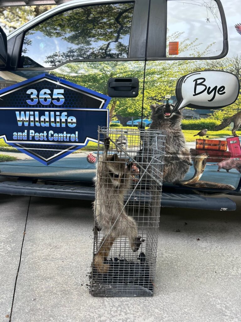 365 Wildlife & Pest Control LLC