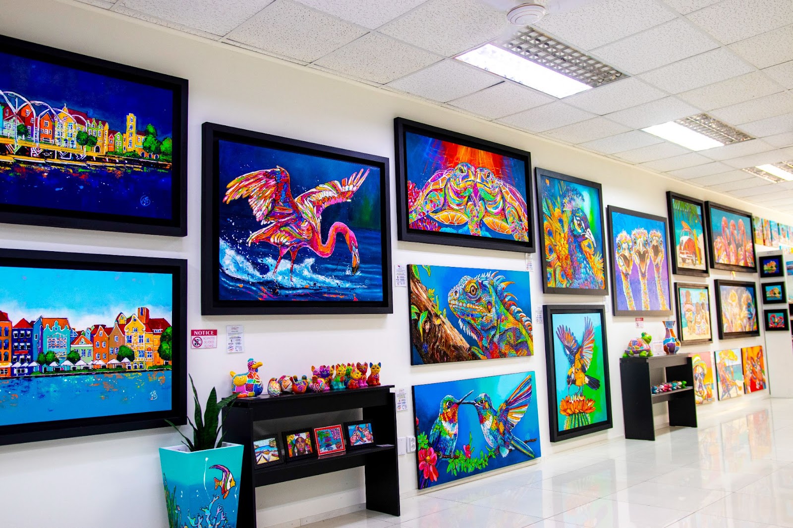 Colorful gallery display featuring vibrant tropical and wildlife paintings, including flamingos, iguanas, and hummingbirds, with vibrant art pieces on the walls and a shelf of decorative pieces in the foreground.
