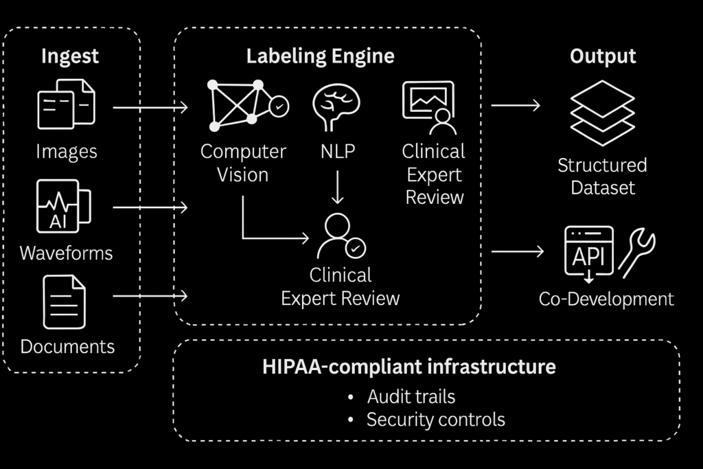 Syauctus AI develops clinician-supervised tools to streamline healthcare workflows, tackling inefficiencies and improving outcomes.