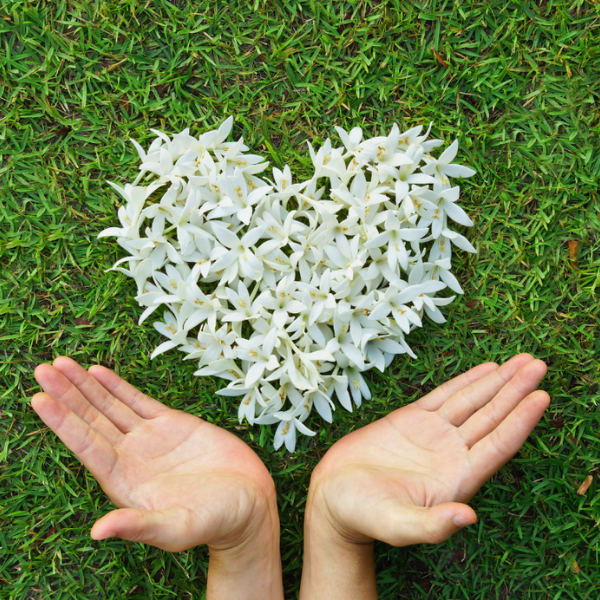 Seeds of Bliss, guiding individuals through spiritual and emotional healing with their signature Awakening the Seeds™ methodology, fostering authentic transformation.