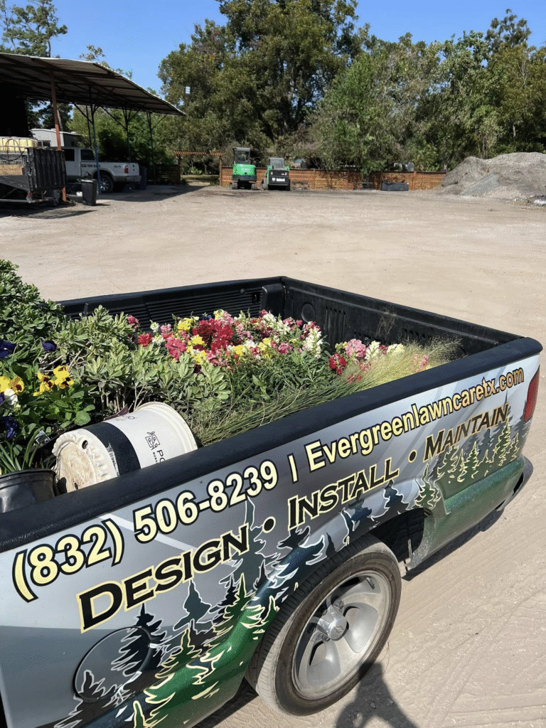 Beautifully transformed outdoor space by Evergreen Outdoor Services, showcasing their expertise in landscaping, yard restoration, and enhancing property value in Houston.