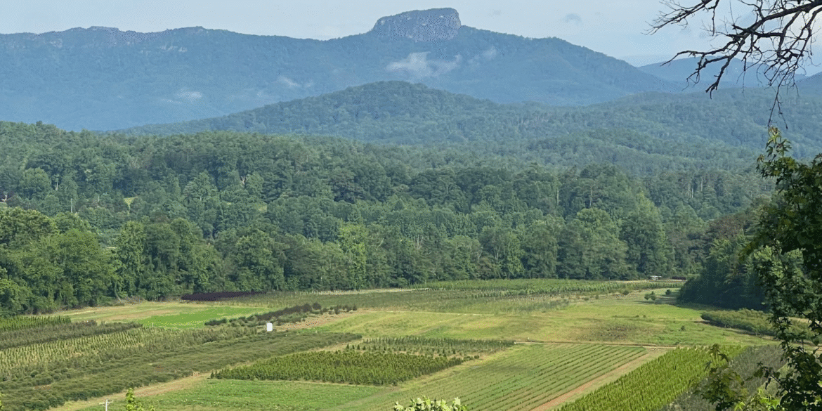 "Scenic view of Morganton’s mountains and fields, reflecting the community-focused real estate expertise of Mark Causby."