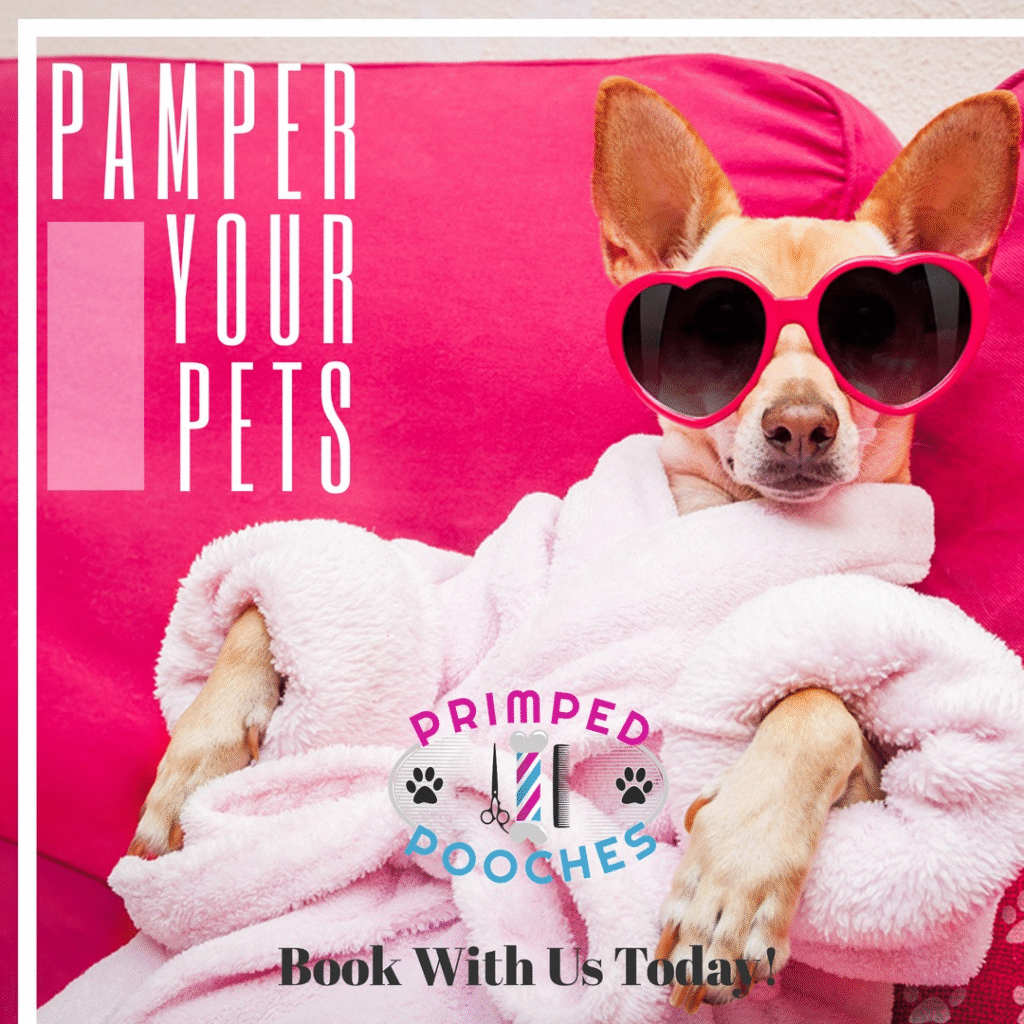 Primped Pooches, North Texas’s premier luxury mobile dog spa, where comfort, convenience, and top-tier grooming are delivered right to your doorstep.