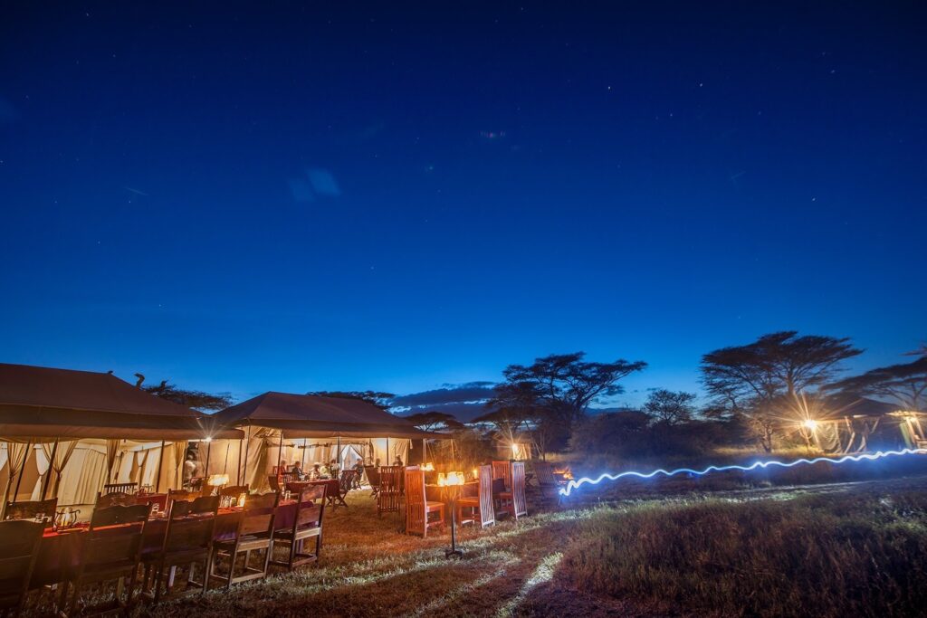 Tanzania Safari Camp: Elegant tented camp set under the stars, offering a serene safari experience.
