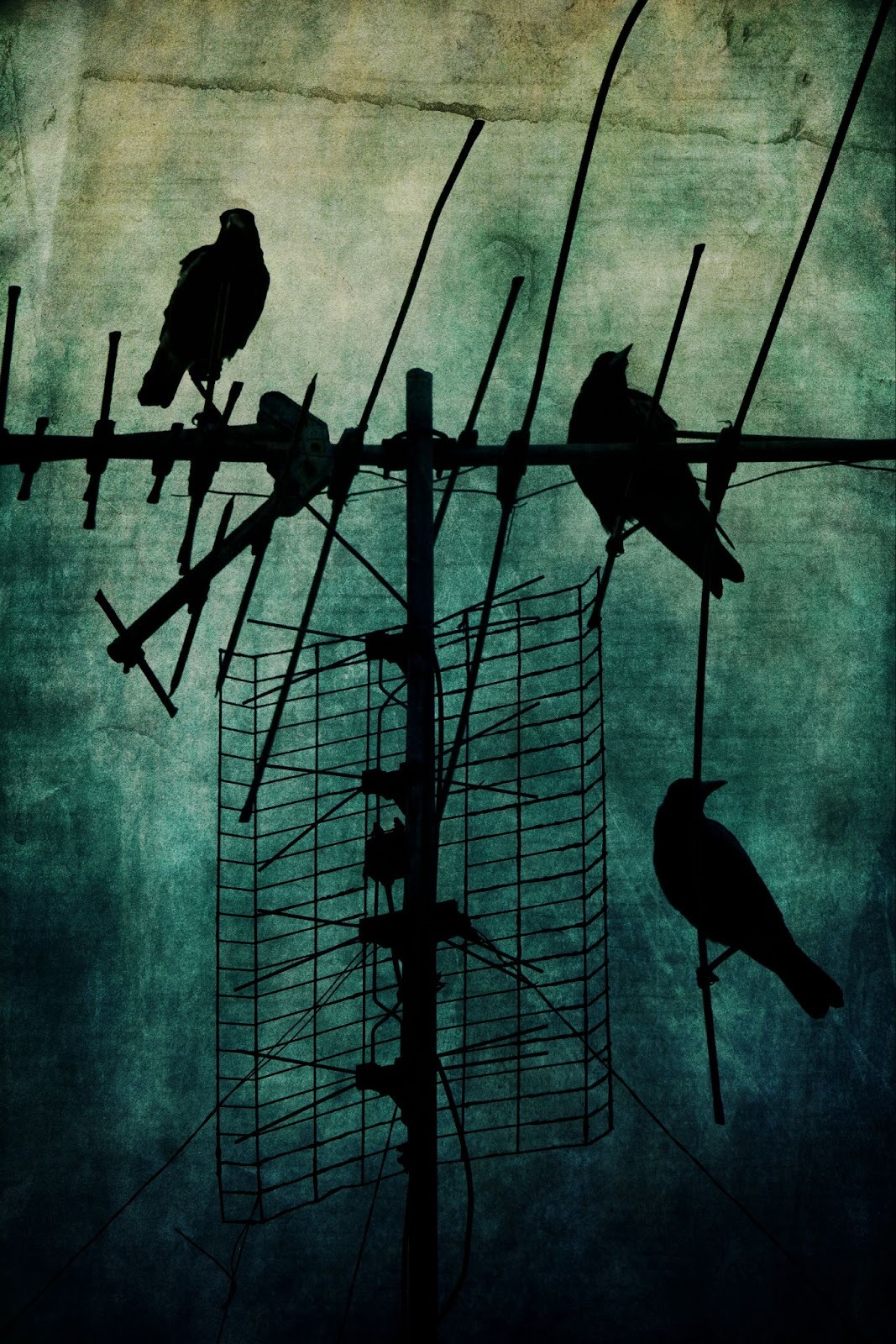 Andrew Para Photography transforms emotional journeys into powerful fine art, inviting reflection and connection through limited edition prints.