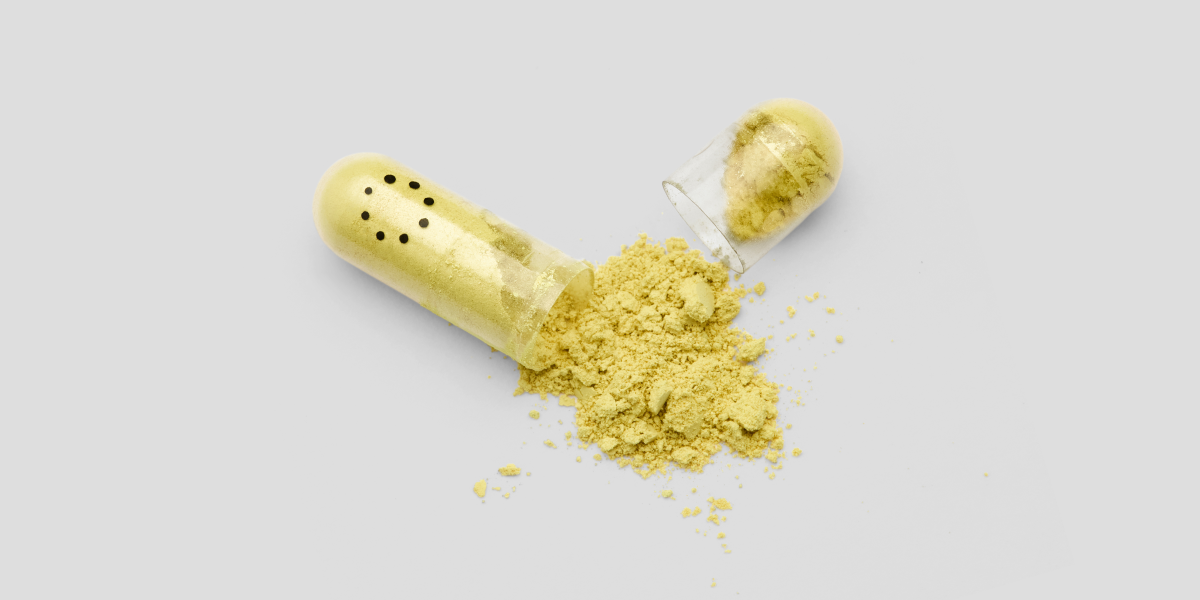 Inside a Zenith capsule — high-dose fisetin and quercetin powder for senolytic support