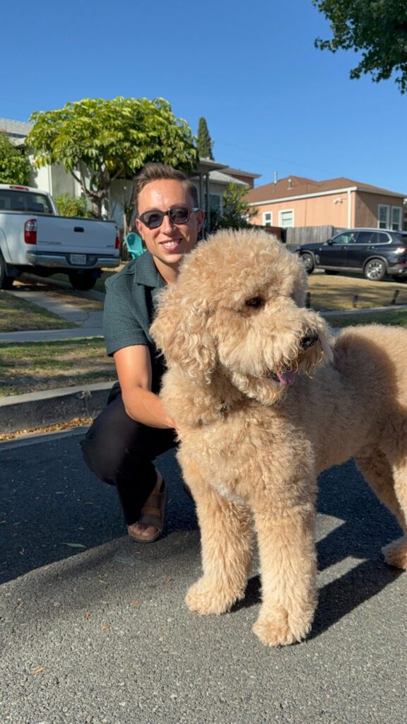A person kneels on the street, interacting with a dog beside them.