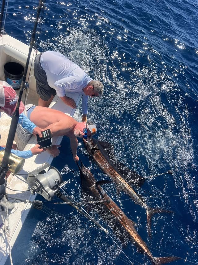 Anglers leaning over boat handling large billfish in open ocean water.