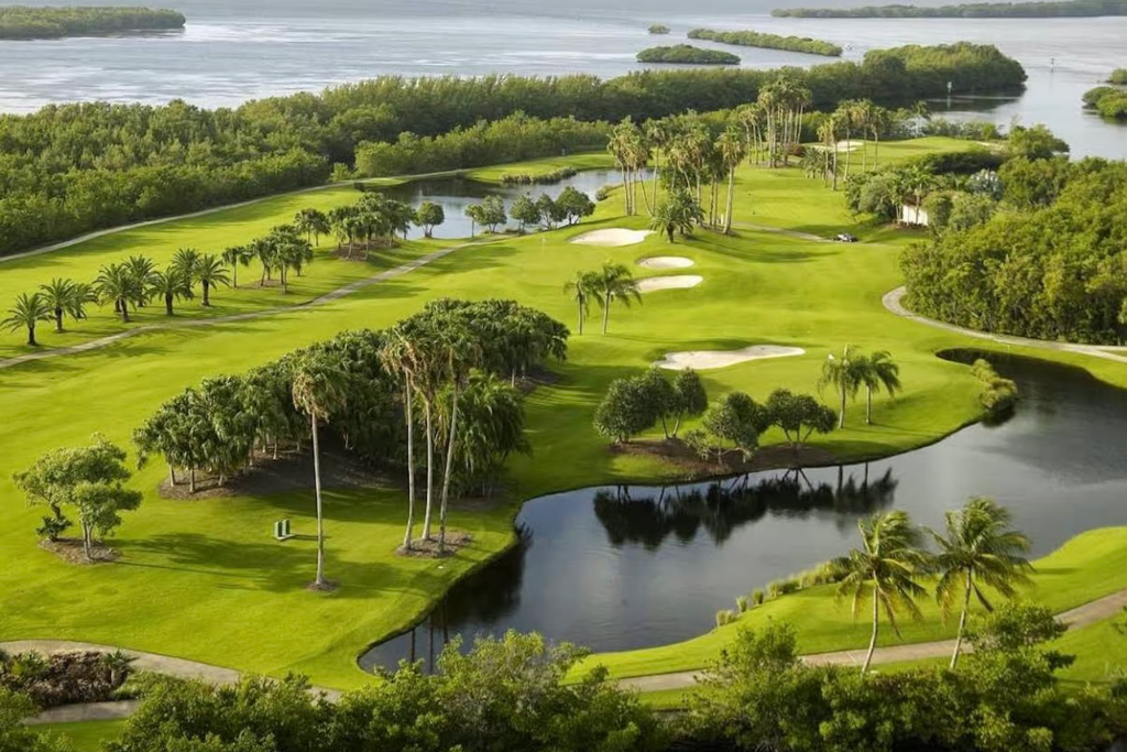 Aerial view of lush waterfront golf course with palm trees, sand bunkers, and winding water features.