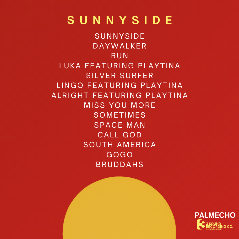 Palmecho is building cinematic afrofusion worlds in a single driven era