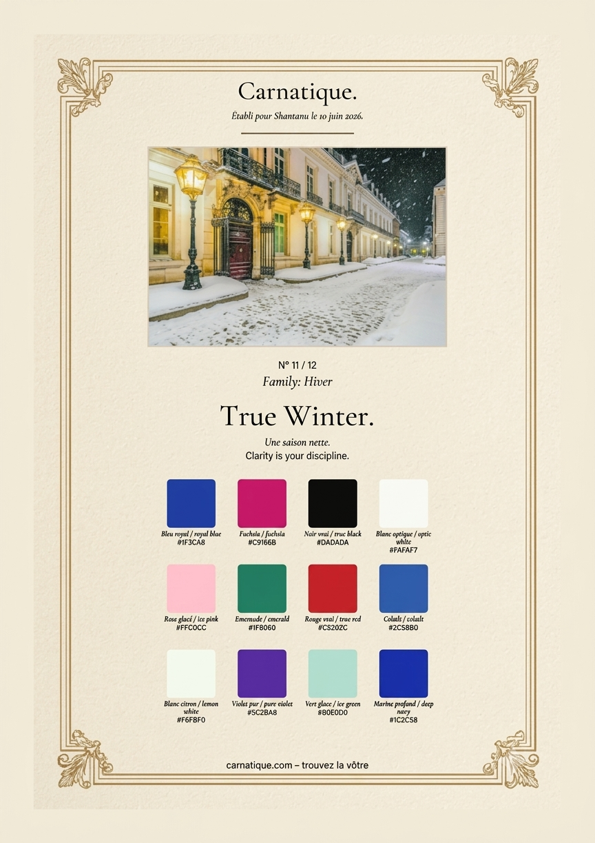 Carnatique True Winter colour analysis dossier featuring seasonal palette and snowy streetscape.