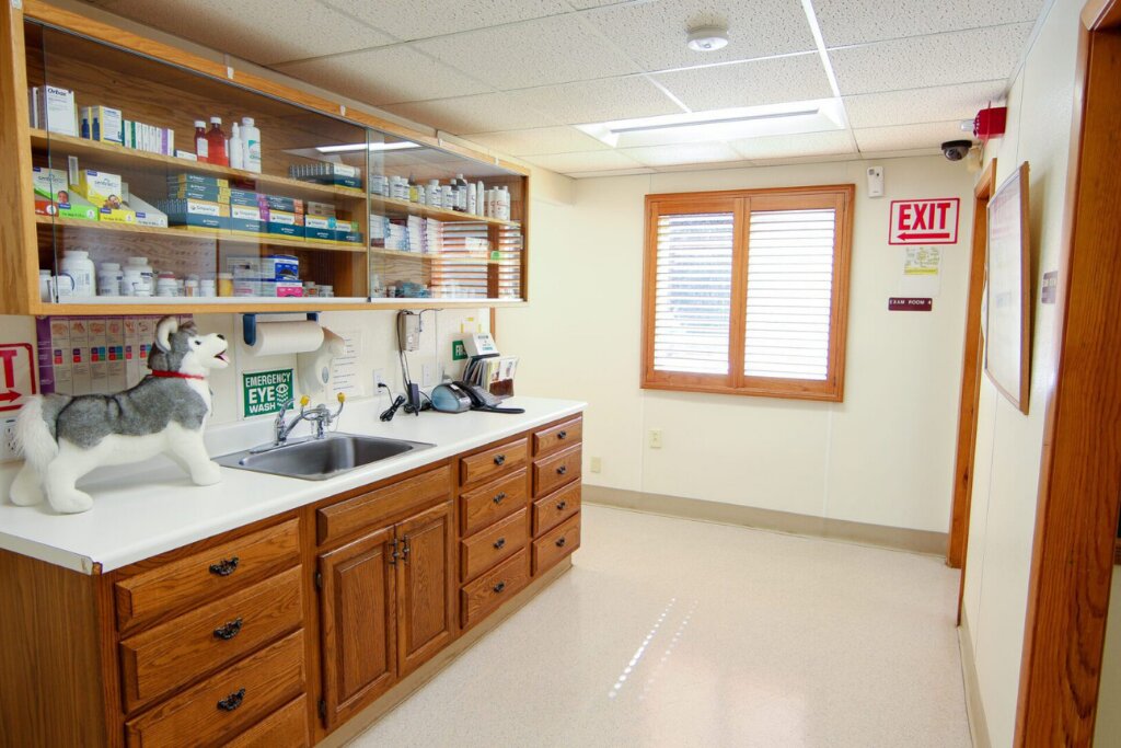Veterinary treatment room with stocked medicine cabinets, sink, and examination area at Animal Hospital of Sullivan County.